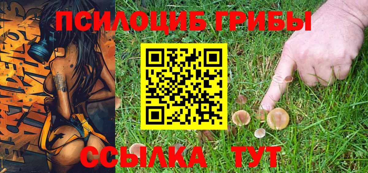 Галлюциногенные грибы прущие грибы Чернушка